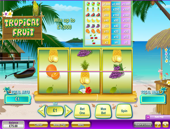Tropical Fruit slot game